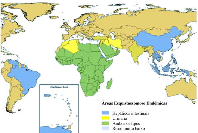 Figura 1 – Países Endêmicos da Esquistossomose no Mundo. A classificação é feita de acordo com a forma  clínica da doença