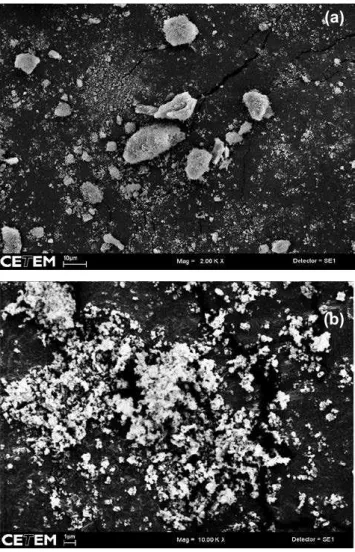 Figura  5:  Micrografias  obtidas  por  microscopia  eletrônica  de  varredura do pigmento de ZnCr 2 O 4  obtido a partir do gel sem  envelhecimento.
