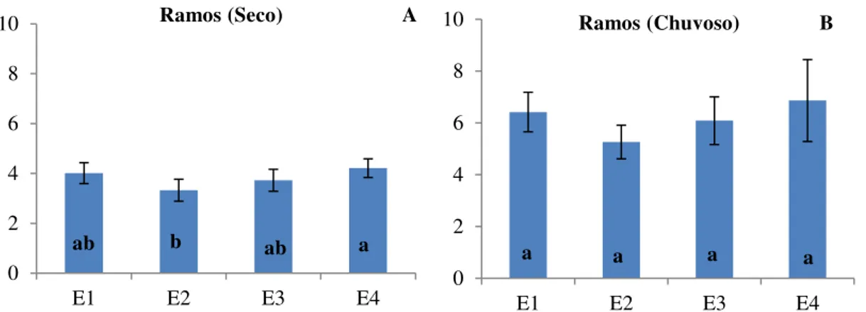 Figura  3.      Média  do  número  de  ramos  no  período  seco  (A)  e  chuvoso  (B)  da  pornunça  (Manihot  sp.)   cultivada em sequeiro, sob os diferentes espaçamento de plantio (A e B)*