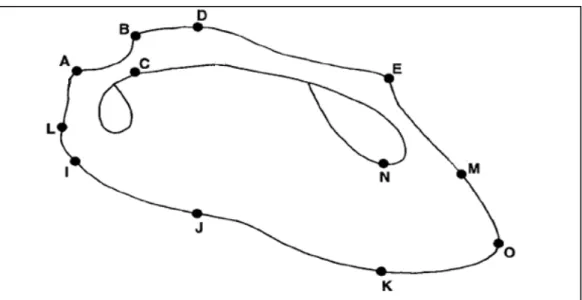 Figura 2 – Características morfológicas utilizadas na diferenciação de conchas de bivalves arcídeos