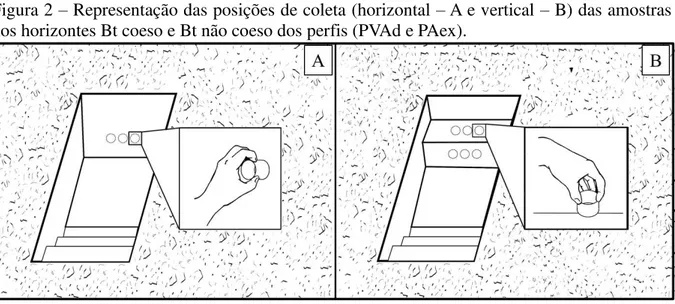 Figura 2 – Representação das posições de coleta (horizontal – A e vertical – B) das amostras  nos horizontes Bt coeso e Bt não coeso dos perfis (PVAd e PAex)