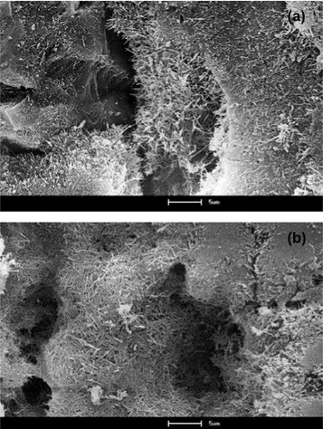 Figura  7:  Micrografias  obtidas  por  microscopia  eletrônica  de  varredura das amostras A e B, da esquerda para a direita