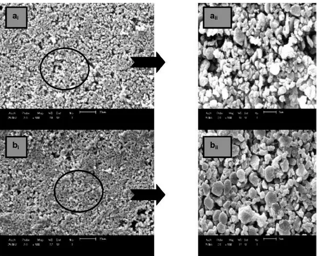 Figura 3: Micrografias obtidas em microscópio eletrônico de varredura do suporto cerâmico poroso obtidos em 
