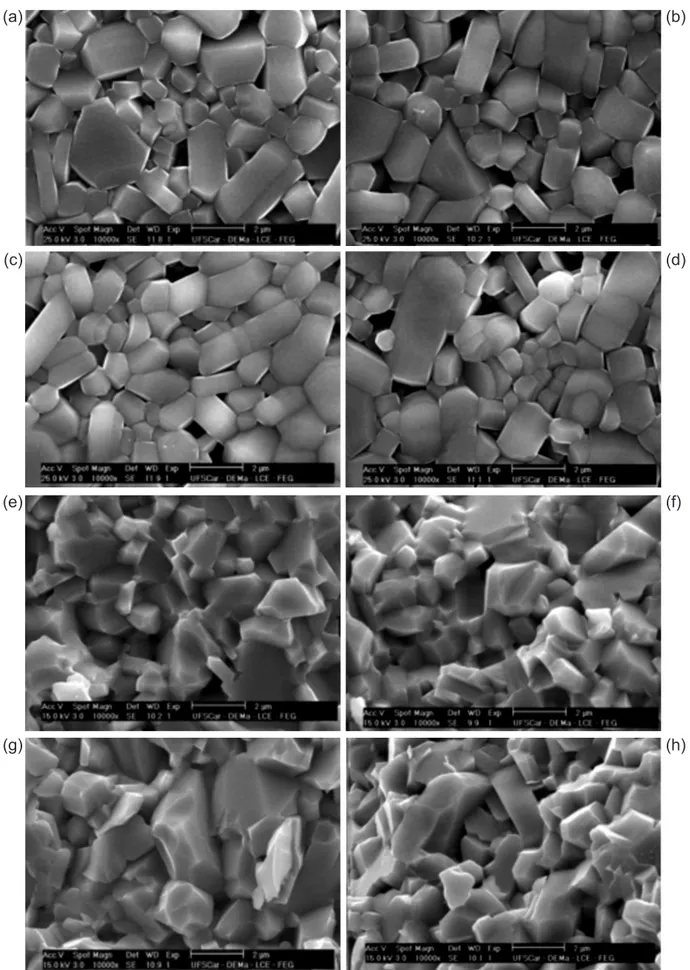 Figura 2: Micrografias obtidas em microscópio eletrônico de varredura de hexaferrita de bário, sem e com dopante, sinterizadas em forno  convencional (a, b, c, d) e de micro-ondas (e, f, g, h)