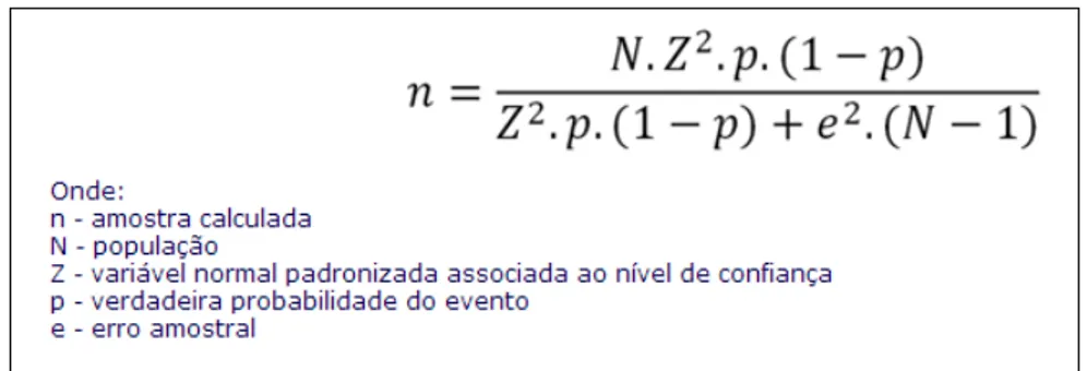 Figura 1: Fórmula utilizada para o cálculo da amostra de pacientes a  ser monitorizada