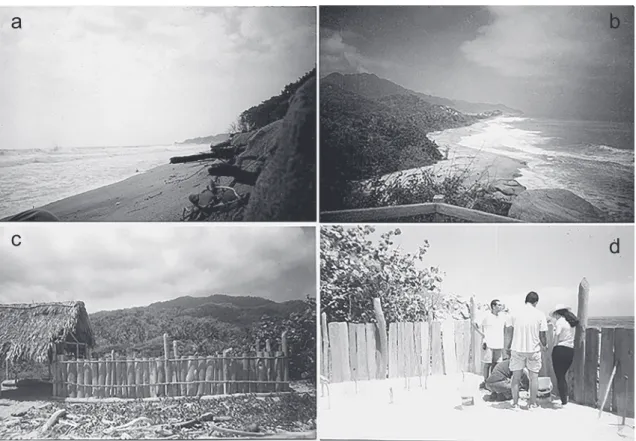 Figura 3 – a: amenazas presentes en una playa de anidación del PNNT, llamada “El Medio”; b: vista general de la playa  Cañaveral y su fuerte oleaje; c: zona de “vivero” adecuada en el 2000 en la playa de Cañaveral para la incubación de  huevos; d: reubicac