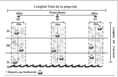 Figura 4 ­ Sectorización de playas de anidación de tortugas marinas, a partir  de Ospina &amp; De Luque, 2005).