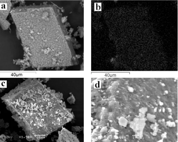 Figura 5: Micrografias obtidas em microscópio eletrônico de varredura do calcário sulfatado; a, b) mapeamento para enxofre por EDS na  partícula; c) aspecto da partícula; d) superfície e porosidade após sulfatação.