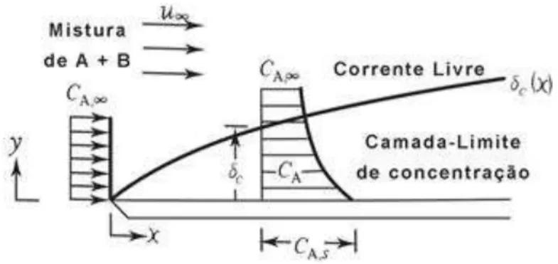 Figura  4  –   Camada-limite  de  concentrac¸a ˜ o  para  um  fluido  se  movimentando sobre uma  placa plana  