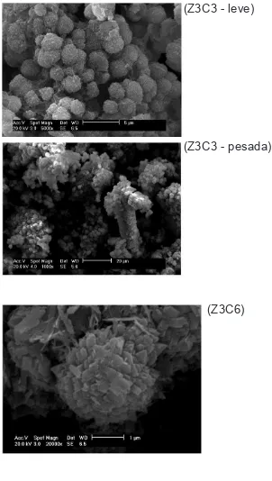 Figura 7: Difratogramas de raios X e micrografias da zeólita NaP1 obtida no procedimento 2