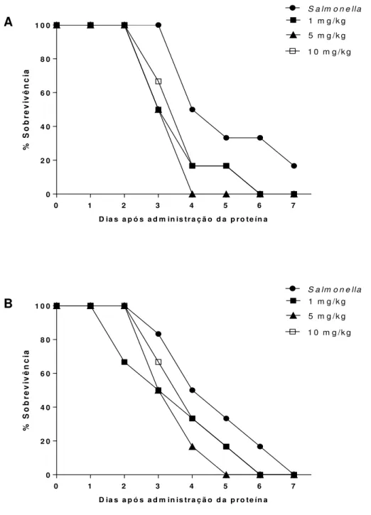 Gráfico 6. Sobrevivência de camundongos infectados com Salmonella Typhimurium e posteriormente  tratados com as lectinas, por via oral