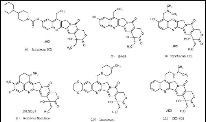 FIGURA 1 – Estrutura química do cloridrato de irinotecano. Fonte: DODDS et. al., 1998  