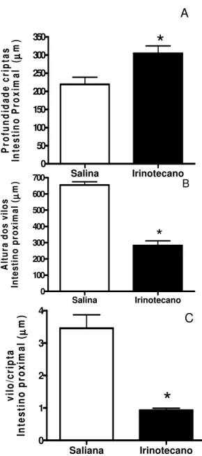 FIGURA  8.  Efeito  do  tratamento  do  irinotecano  na  morfometria  duodenal  de  camundongos Swiss