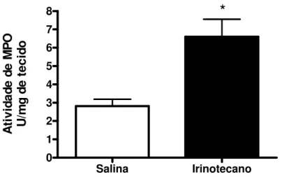 FIGURA 9. Aumento da atividade de MPO no duodeno de camundongos Swiss  tratados  com  irinotecano  ou  salina