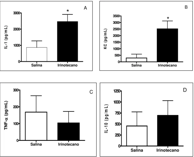 FIGURA 10 - Efeito do tratamento com irinotecano nos níveis de citocinas (IL-1,  KC,  TNF- α   e  IL-10)  no  duodeno  de  camundongos  Swiss