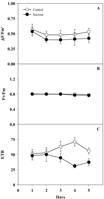 Figure 2: Effective  quantum  efficiency  of photosystem  II (A),  potential  quantum efficiency  of  photosystem  II  (B)  and  electron  transport  rate  (C)  in  sugarcane  plants  with  leaves  treated  with  water  (control)  or  exogenous  sucrose 50