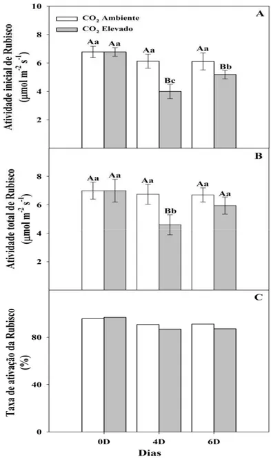 Figura 7 - Atividade inicial (A), total (B) e estado de ativação  (C)  da  Rubisco  em  folhas  de  soja  sob  condições  de  CO 2 