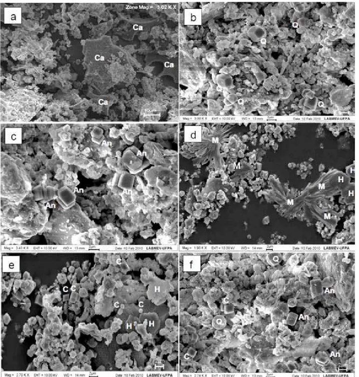 Figura 2: Micrografias obtidas por microscopia eletrônica de varredura mostrando diferentes morfologias das fases mineralógicas  encontradas na cinza volante: a) partículas de carbono residual; b) quartzo euédrico; c) cristais ortorrômbicos de anidrita; d)