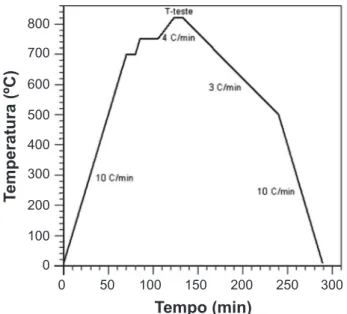 Figura 3: Ciclo térmico padrão usado nos testes de molhamento e  brasagem.