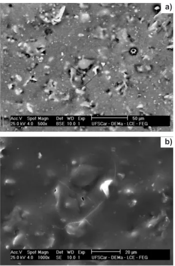 Figura  19:  Micrografias  obtidas  em  microscópio  eletrônico  de  varredura  da  superfície  de  fratura  da  amostra  da  composição  de  porcelanato  contendo  100%  nefelina  e  100%  argilito  Santa  Gertrudes  (composição  8)  após  queima  a  1150
