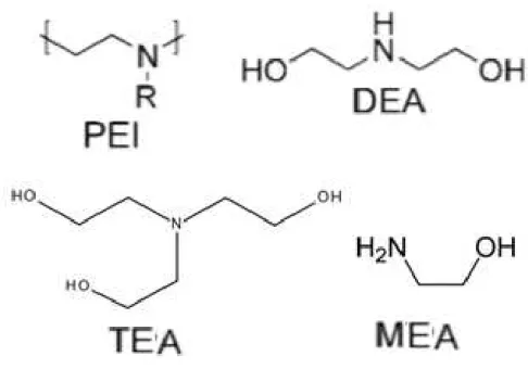 Figure 3.1. Amines used in the synthesis of solid supported amine adsorbents (Adapted  from Choi et al., 2009)