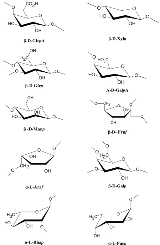 Figura  1  –  Monossacarídeos  mais  comuns  e  as  posições  de  ligação  mais  encontradas  através do átomo de oxigênio como está indicada [Aspinall, 1970]
