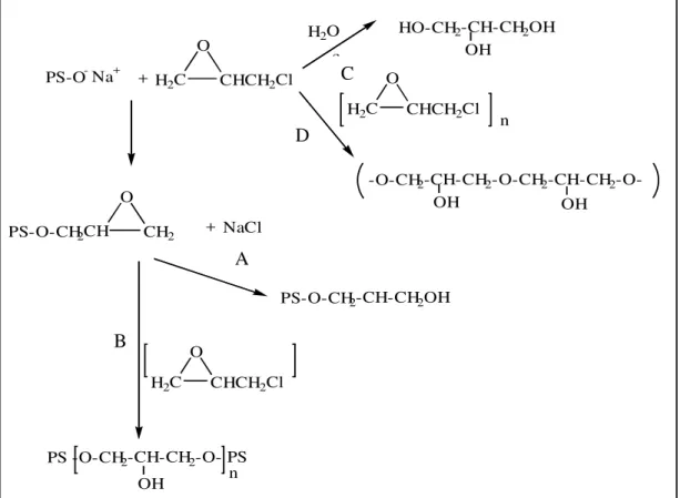 Figura  6  -  Mecanismo  proposto  para  a  reação  de  epicloridrina  (E)  com  o  polissacarídeo  (PS):  (A)  formação  do  monoglicerol  éter;  (B)  reticulação  com  mais  de  uma  molécula  de  epicloridrina; (C) hidrólise da epicloridrina e (D) polim