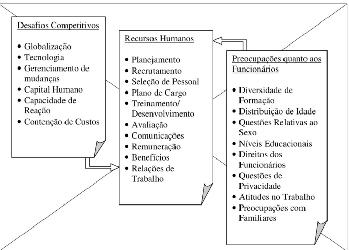 Figura 3- Estrutura geral para gestão dos recursos humanos. 
