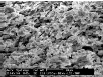 Figura 7: Micrografia por microscopia eletrônica de varredura da  superfície de substrato denso de alumina conformado por rolos a  frio e sinterizado a 1600 ºC.