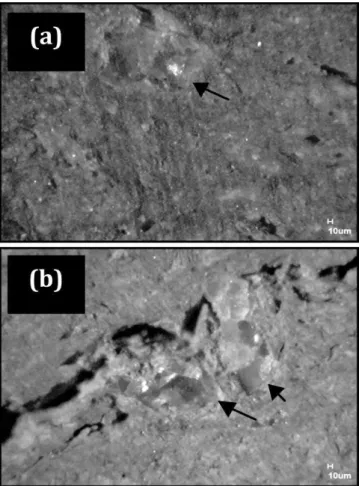 Figura 10: Micrografias de microscopia óptica da cerâmica com  4% de coque de petróleo queimada a 850 °C (a) e  1050 °C (b).