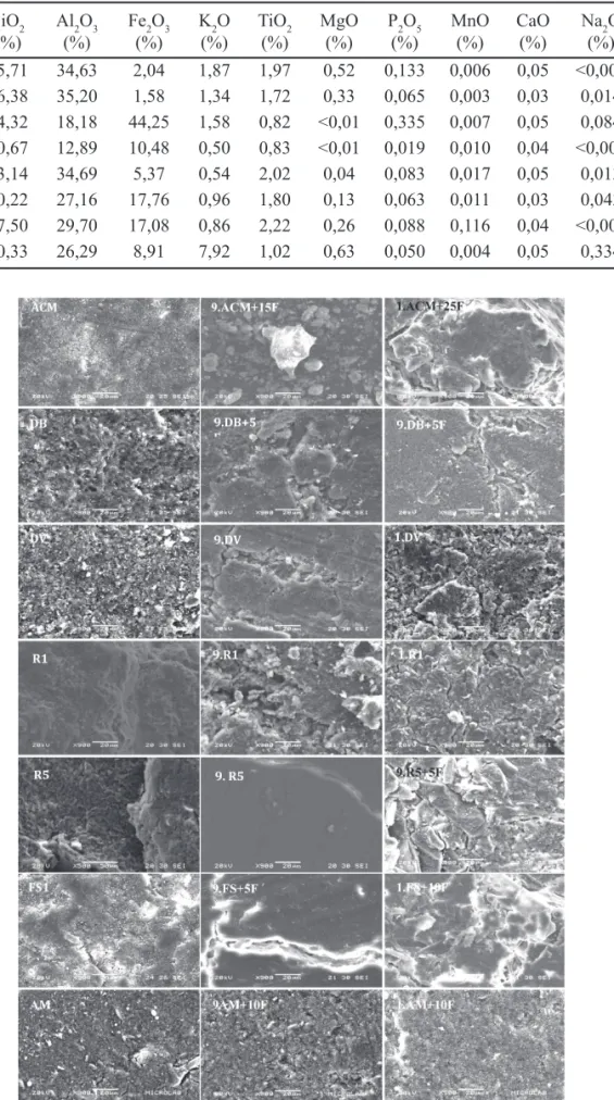 Figura 4: Fotomicrograﬁ as de microscopia eletrônica de varredura dos materiais naturais e queimas a 900 e 1100 °C