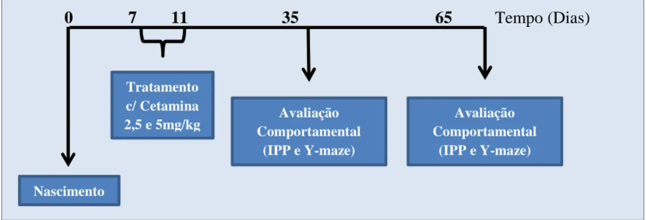 Figura 8. Curva Dose-Resposta para Cetamina 2,5 e 5,0mg/kg. 