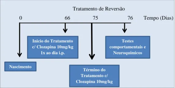 Figura  10.  Determinação  do  efeito  da  Clozapina  na  reversão  das  alterações  comportamentais e neuroquímicas induzidas por Cetamina