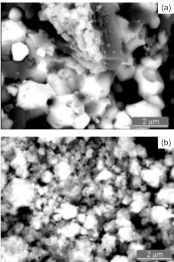 Figura 3: Micrografia obtida por MET utilizando campo claro, do  pó de alumina/TiC obtido logo após a ocorrência da reação