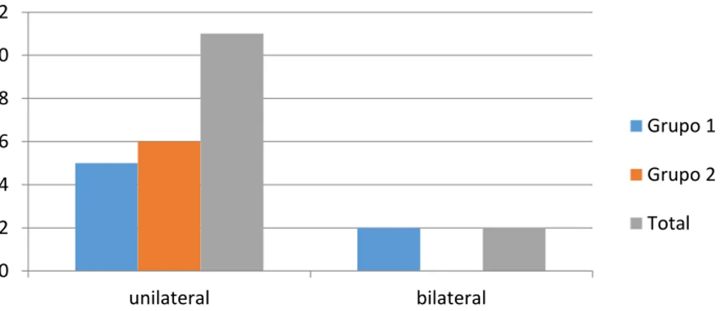 Gráfico 2 - Detecção de linfonodos unilaterais ou bilaterais nos grupos experimentais 