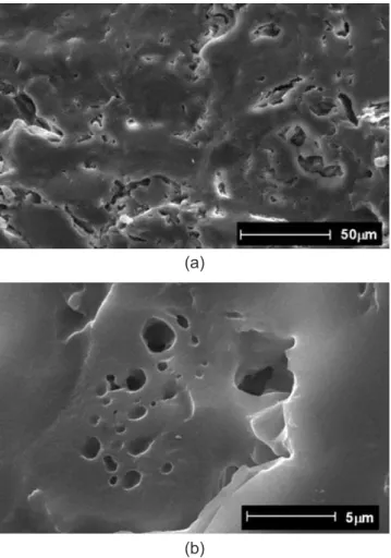 Figura  13:  Micrografias  obtidas  em  microscópio  eletrônico  de  varredura  da  superfície  de  fratura  da  amostra  da  composição  de  porcelanato contendo 100% nefelina como matéria-prima fundente  (composição 5) após queima a 1200 ºC: (a) Aspecto 