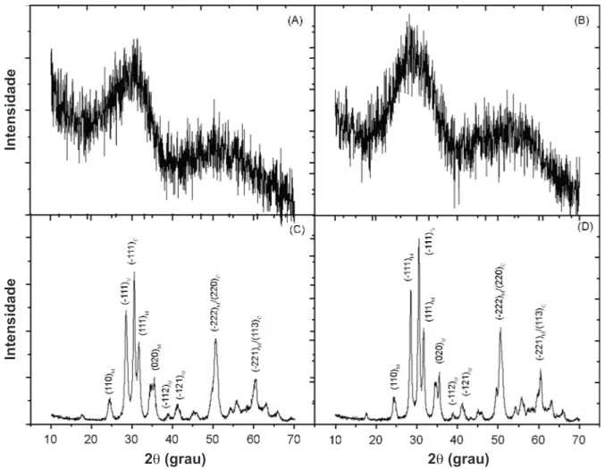 Figura  1:  Difratograma  de  raios  X  do:  (A)  ZrO 2 .nH 2 O/PC,  (B)  )  ZrO 2 .nH 2 O/PC  calcinado  e  (D)  ZrO 2 .nH 2 O/PSH  calcinado.