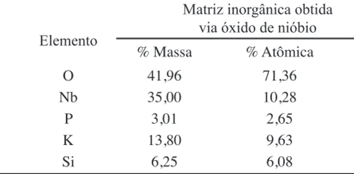 Figura 3: Micrografia do material adsorvente.