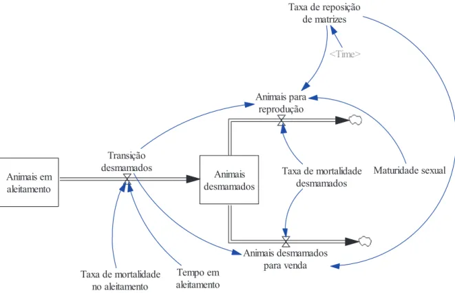 Figura 10 – Parte do diagrama de fluxo do Subsistema Animal I referente à transição e desmama dos animais que  estavam em aleitamento 