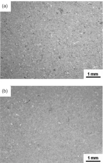Figura 16: Micrografias ópticas da superfície “como sinterizada”  das amostras com 5% de lodo calcinado (a) e 5% de lodo moído (b)  sinterizadas a 950  °C.