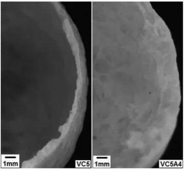 Figura 4: Micrografias obtidas por MEV para comparação entre a  porosidade dos corpos cerâmicos formulados com 5% de calcário  dolomítico,  sem  (VC5)  e  com  (VC5A4)  alumina,  queimados  a  900 °C (Aumento: 6,7X)