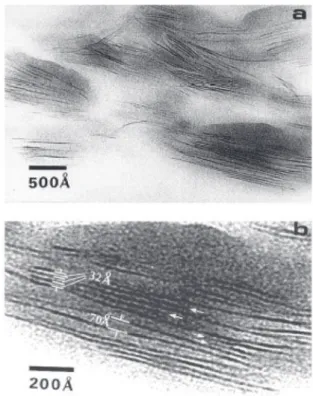 Figura  12:  Micrografia  obtida  por  microscopia  eletrônica  de  transmissão  da  esmectita  intercalada  com  cations  hexadecyl  trimethyl amônio na concentração de 1x a CTC [52].