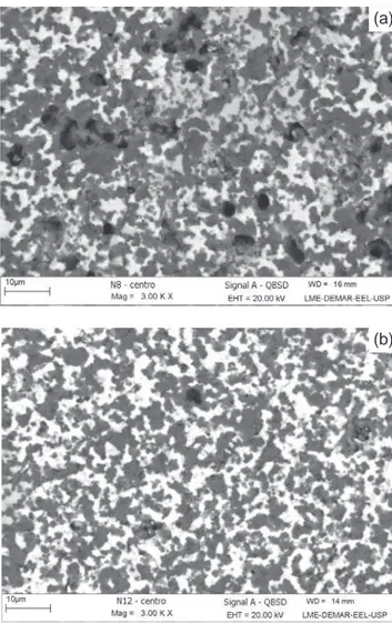 Figura  6:  Fotomicrografias,  obtidas  por  MEV,  das  amostras  (a)  NY8 e (b) NY12, após infiltração.