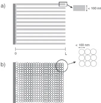 Figura  10:  Representação  esquemática  de  um  eletrodo  nanoestruturado altamente poroso alongado a partir de um coletor 