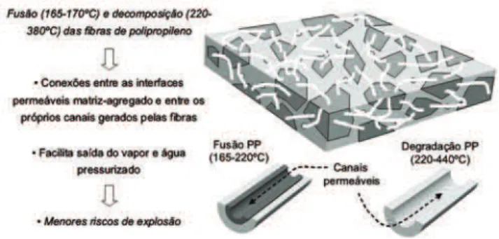 Figura 6: Mecanismo de atuação das fibras poliméricas (fibras de  polipropileno, neste caso) [29, 31]