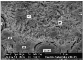 Figura  5:  Fotomicrografia  em  MEV  da  superfície  da  amostra  queimada a 1340 ºC e atacada com ácido (HF 20% por 10s)
