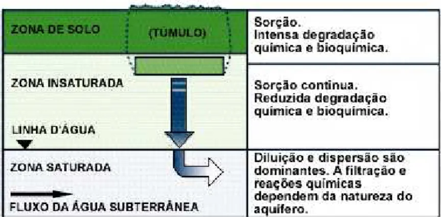 FIGURA 3.1 - Processo de atenuação natural na sub-superfície dos contaminantes  oriundos dos túmulos