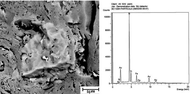 Figura 3: Micrografia obtida por MEV da cerâmica sem resíduo oleoso inertizado queimada a 1100 °C com EDS mostrando partícula P  composta predominantemente de Ti.
