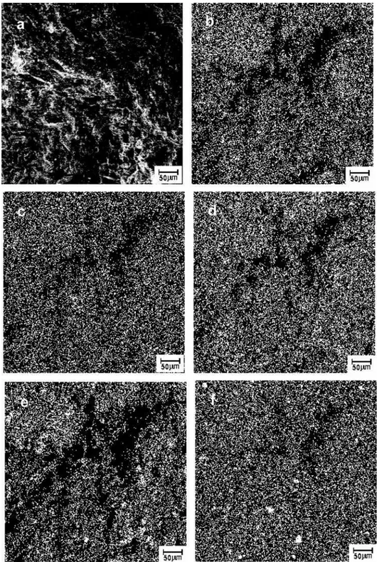 Figura 5: Micrografias obtidas por MEV da cerâmica sem resíduo oleoso inertizado queimada a 1100 °C