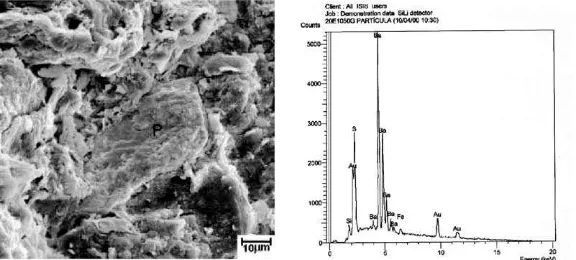Figura 6: Micrografia obtida por MEV da cerâmica com incorporação de 20% em peso de resíduo oleoso inertizado queimada a 1050 °C com EDS  mostrando partícula P composta predominantemente de Ba.